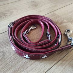 Dog Leash