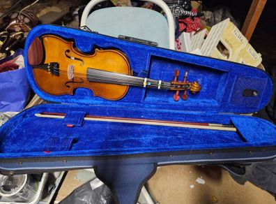 Violin