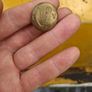 Two Brass Irish volunteers buttons Image 2