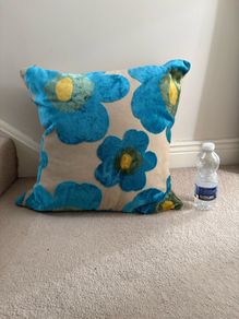 Large soft feather Cushion