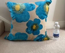 Large soft feather Cushion
