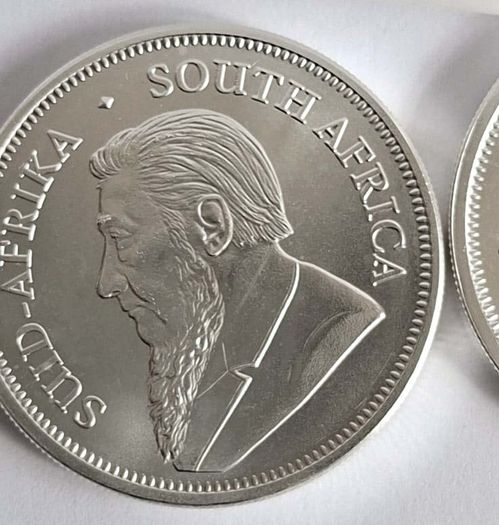 Tube of 10 Krugerrand Silver Coins 2022