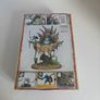 Warhammer - Seraphon - Slynn Starmaster Image 2