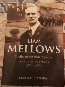 Liam Mellows: Soldier Of The Irish Republic by Conor McNamara