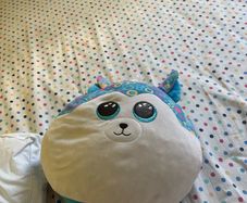 teddy