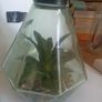 Glass plant ornament Image 3