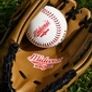 Midwest Baseball Glove & Ball Image 2