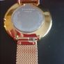 New Ladies Skagen Watch Image 2