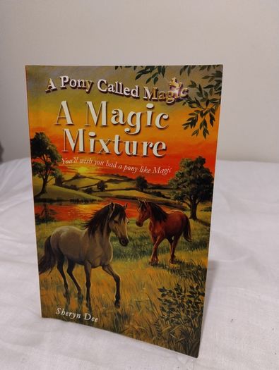A Pony Called Magic Children,s Story Book