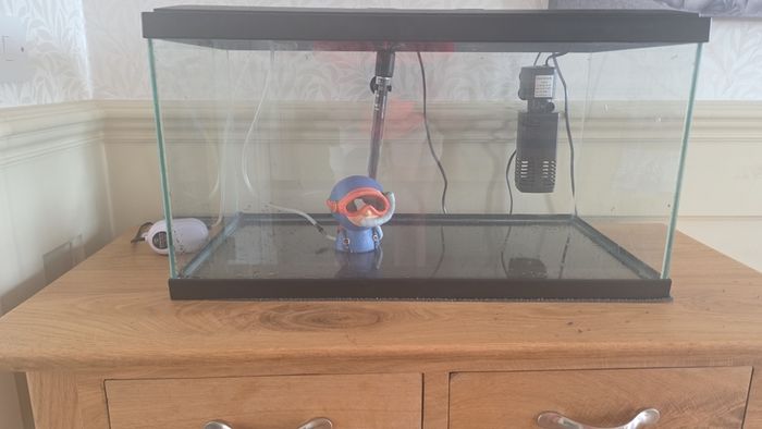 60 Litre Aquarium