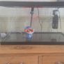 60 Litre Aquarium Image 2