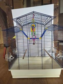 Parrot cage for sale great condition