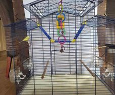 Parrot cage for sale great condition