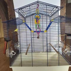 Parrot cage for sale great condition