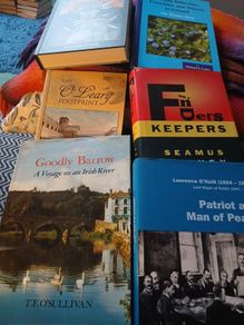 irish interest
