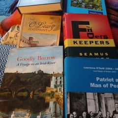 irish interest