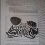 Clonmacnois & West Offaly / Valentine Trodd / Signed / 1998 Image 9