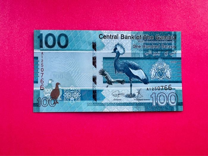 Gambia.  100  Dalasis. 2019   Pick 41  ( Uncirculated )