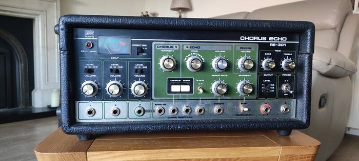 Roland RE-301