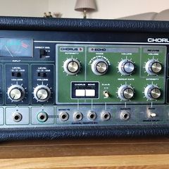 Roland RE-301