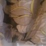 ZARA Blouse .. Size: Medium (12) .. Price Drop Image 4
