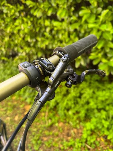 Electric S Works Levo SL