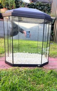 fish tank