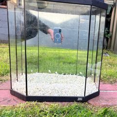 fish tank