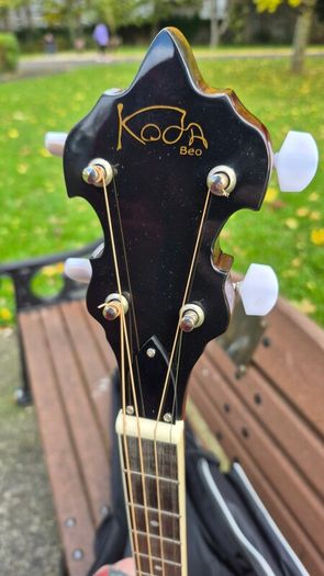 Irish Tenor Banjo