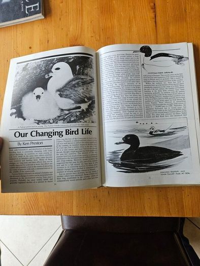 The Irish Wildlife Book. Edited By Fergus O'gorman. Illustrated By Gerrit Van Gelderen, Eamon De Buitlear And Richard Mills. First Edition Large Volume Hardback In Good Condition.