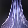Cathedral Length Veil With Crystal Edge Image 5