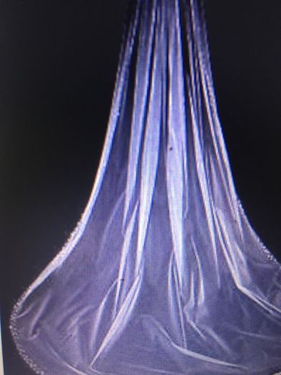 Cathedral Length Veil With Crystal Edge
