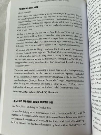 Great Gig Memories From Punks and Friends (McGuirk and Murphy) - Music History
