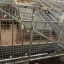 Steel Image 7