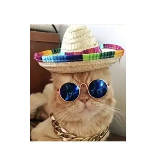 Halloween Costume