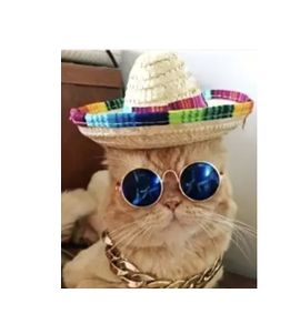 Halloween Costume