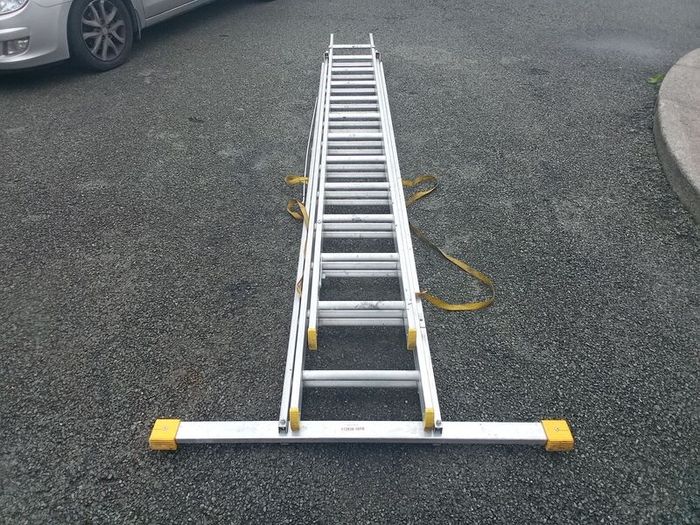 werner ladder