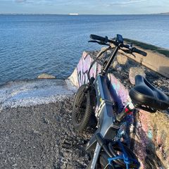 E bike