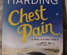 Chest Pain, Michael Harding Paperback, The Number One Bestseller