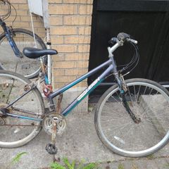 bikes
