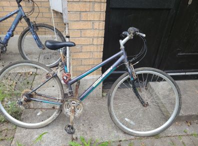 bikes