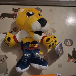 Denver nuggets rocky