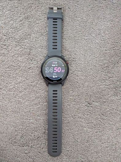 Garmin Forerunner 255: Slate Gray