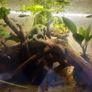 Full aquarium set up Image 3