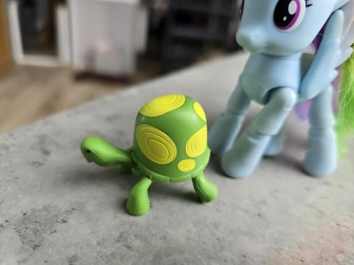 Articulated Joints Rainbow Dash with Pet Turtle Tortoise MLP G4 My Little Pony