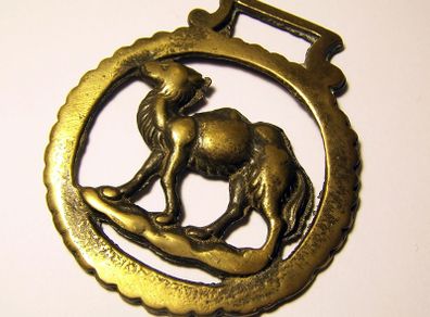 Vintage Camel Horse Brass - Brass Collectible