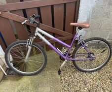 ladies bike 18 speeds