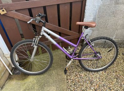 ladies bike 18 speeds