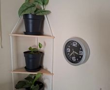 3 tier corner shelf with 3 plants