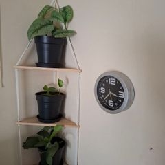 3 tier corner shelf with 3 plants
